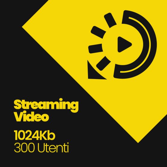 Streaming Video 1024Kb - 300 Utenti